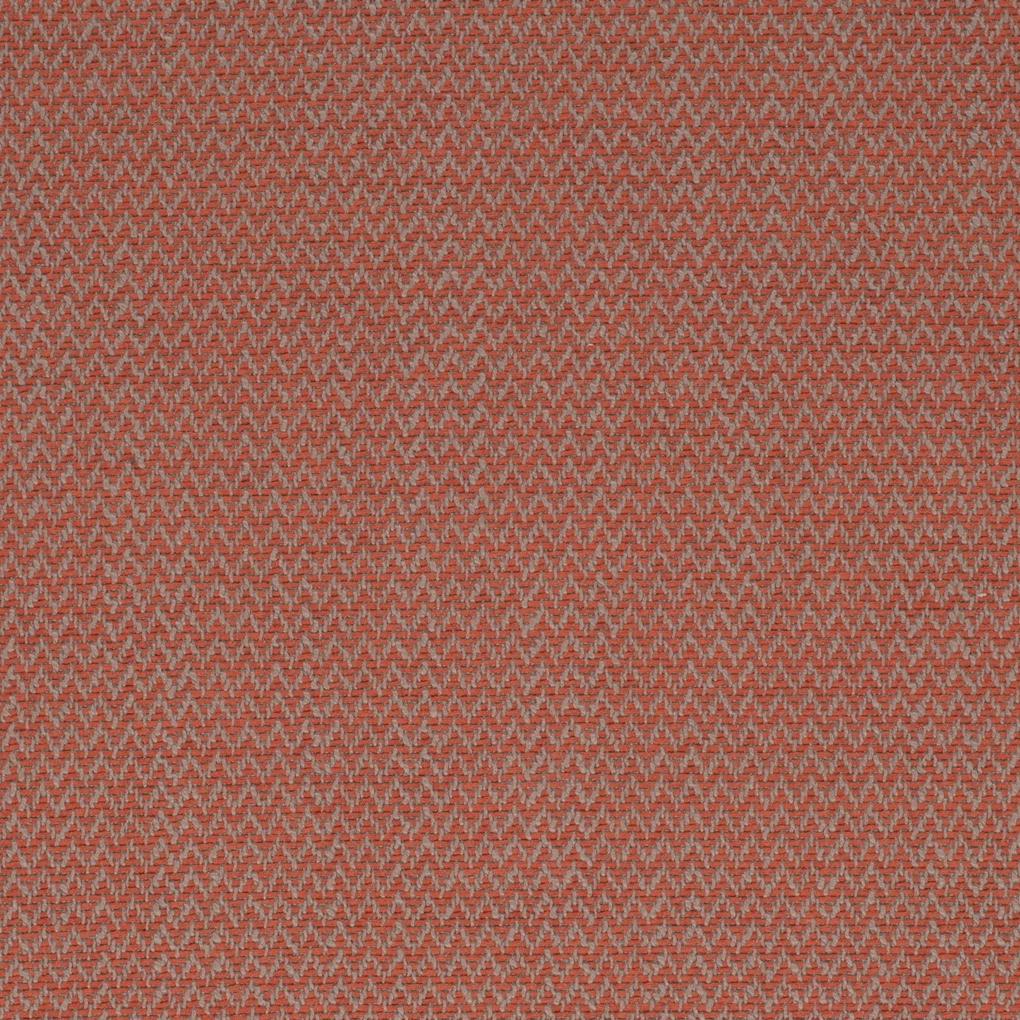 Bernie Terracotta - Folio Fabrics