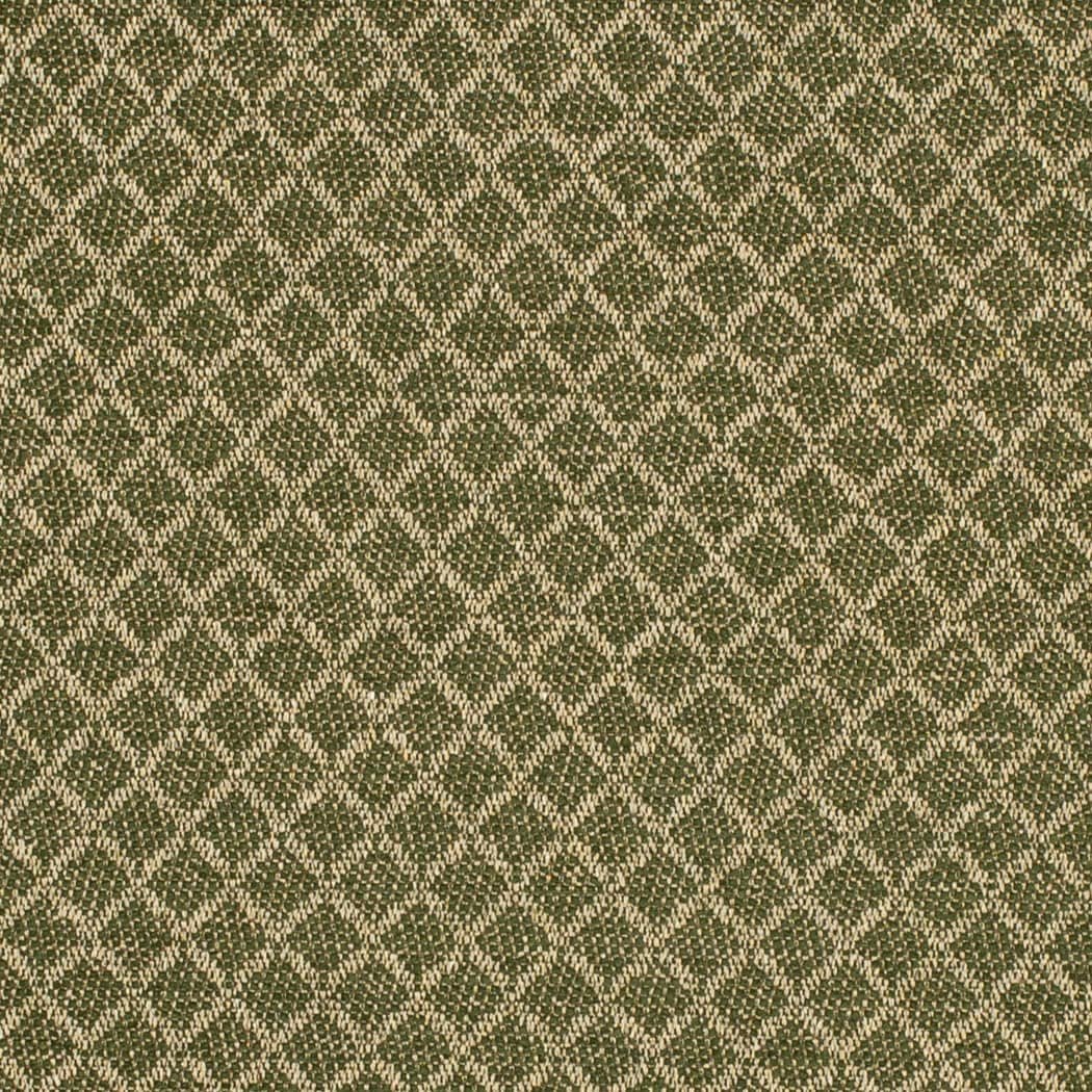Brinley Asparagus - Folio Fabrics