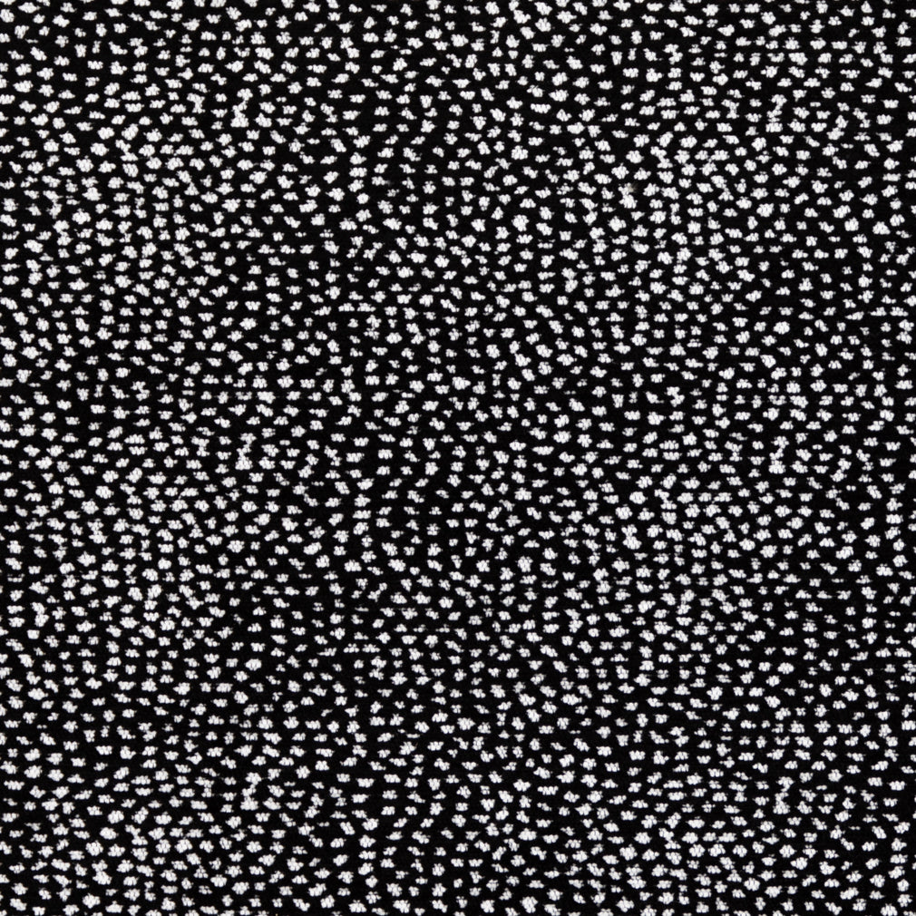Hernando Noir - Folio Fabrics