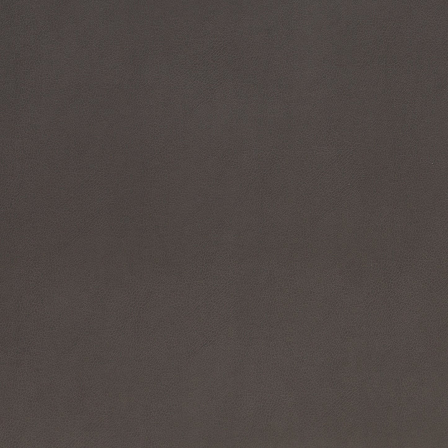 Martha Black - Folio Fabrics