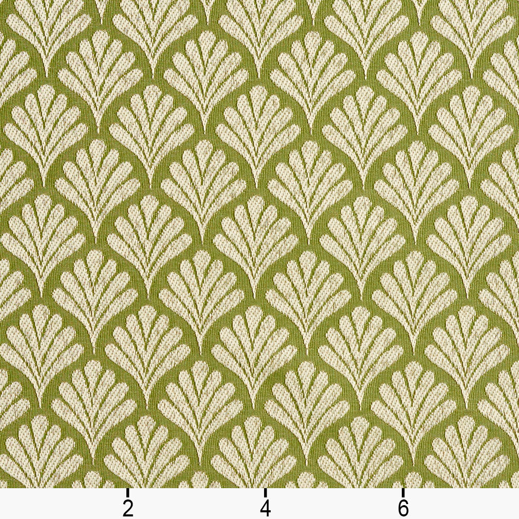 Amanda Fern Ruler Image