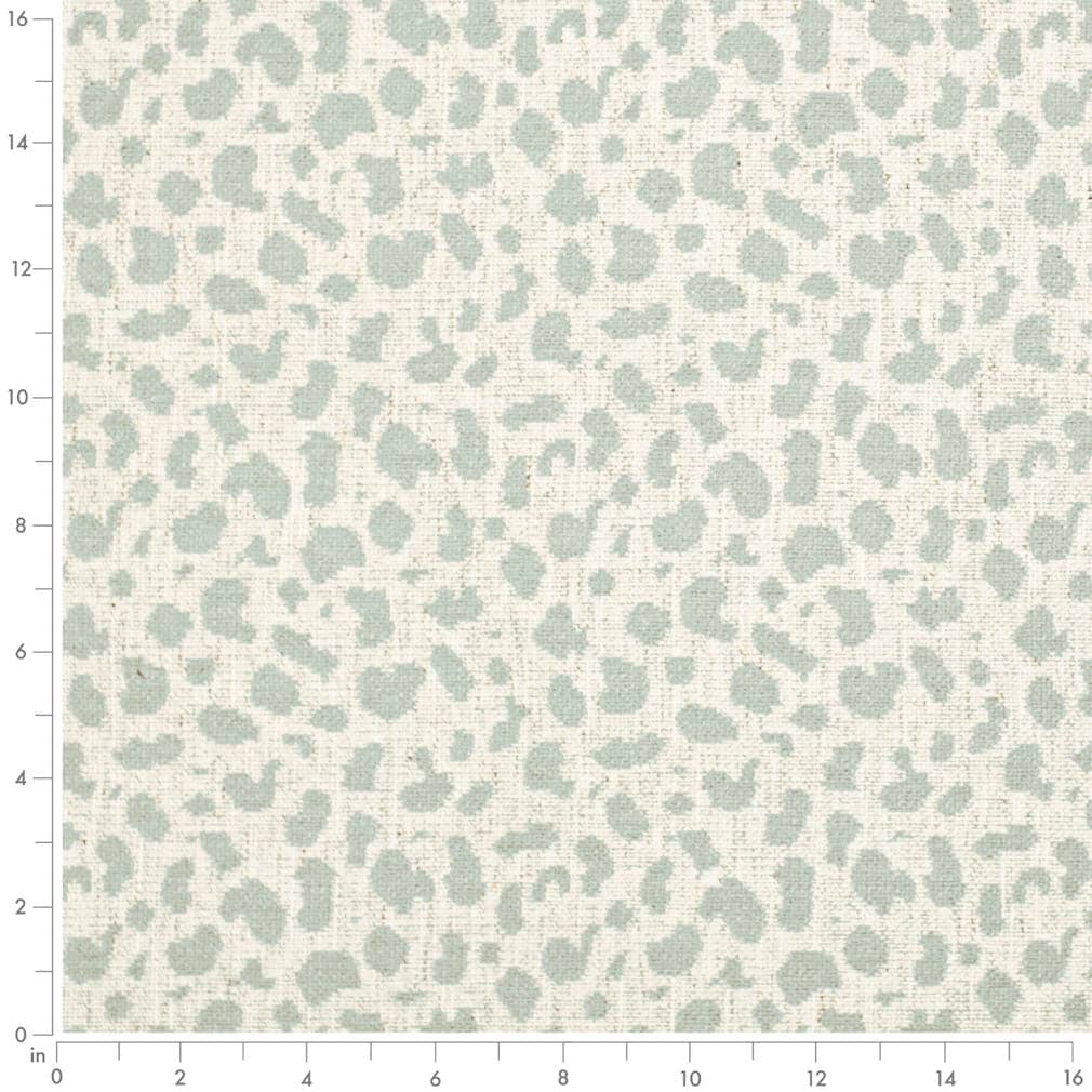 Anita Cloud Ruler Image