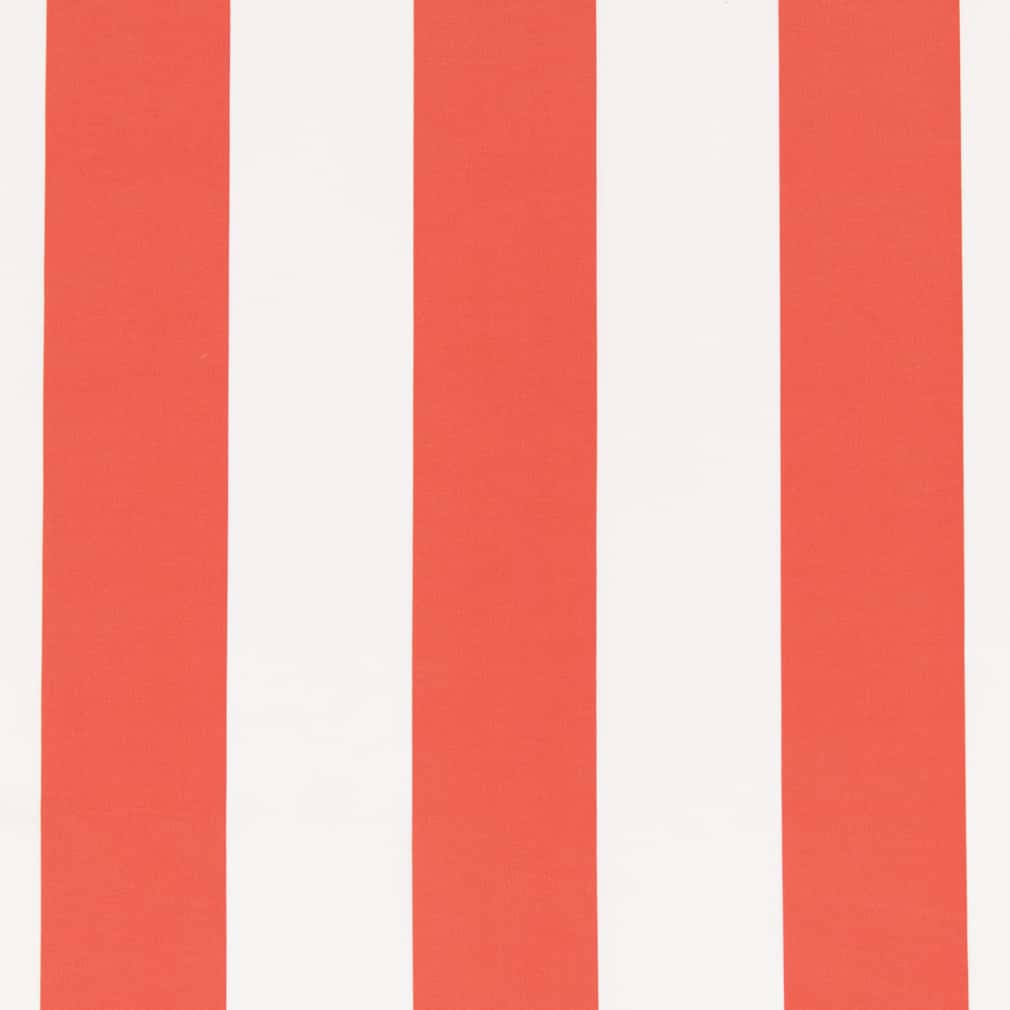Aruba Watermelon - Folio Fabrics