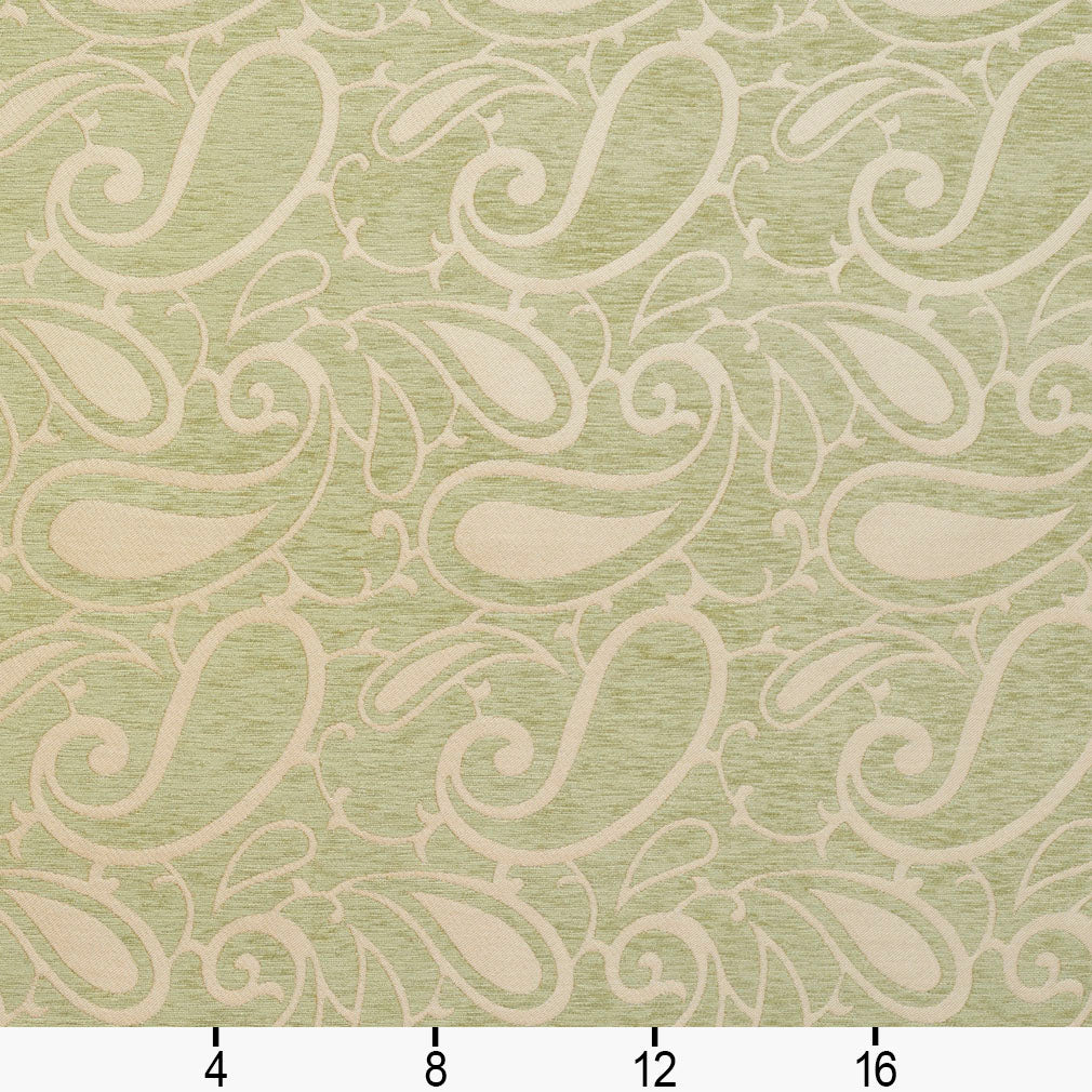 Asher Seaglass Ruler Image