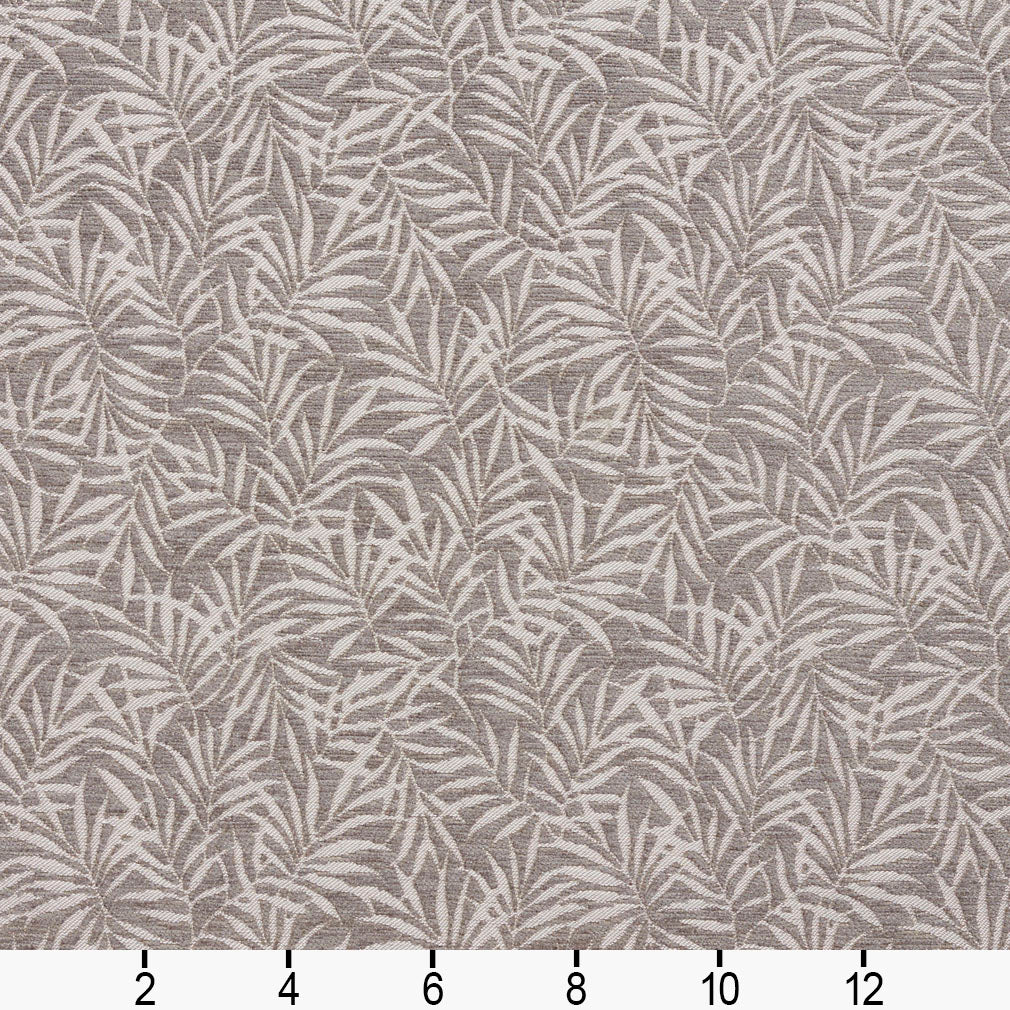 August Dove Ruler Image