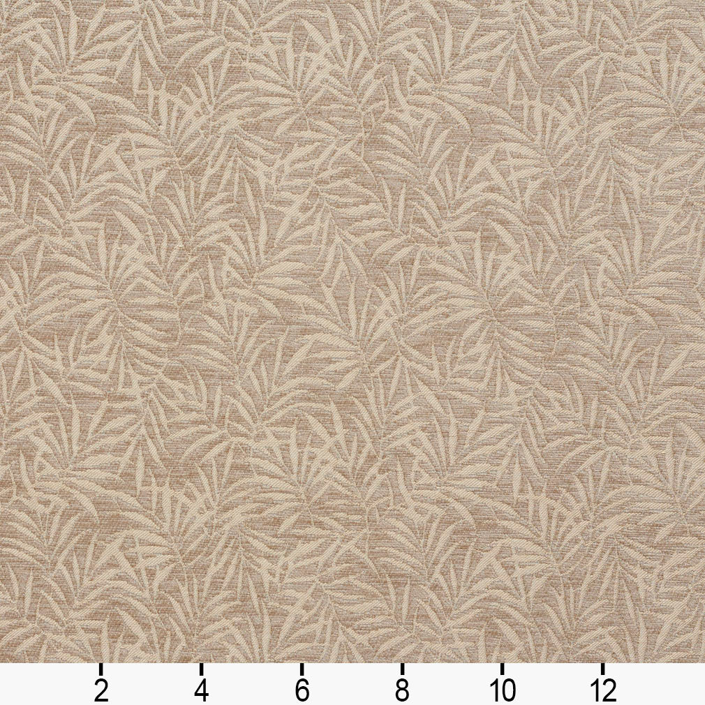 August Taupe Ruler Image