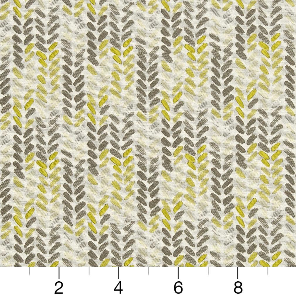 Brodie Citron Ruler Image