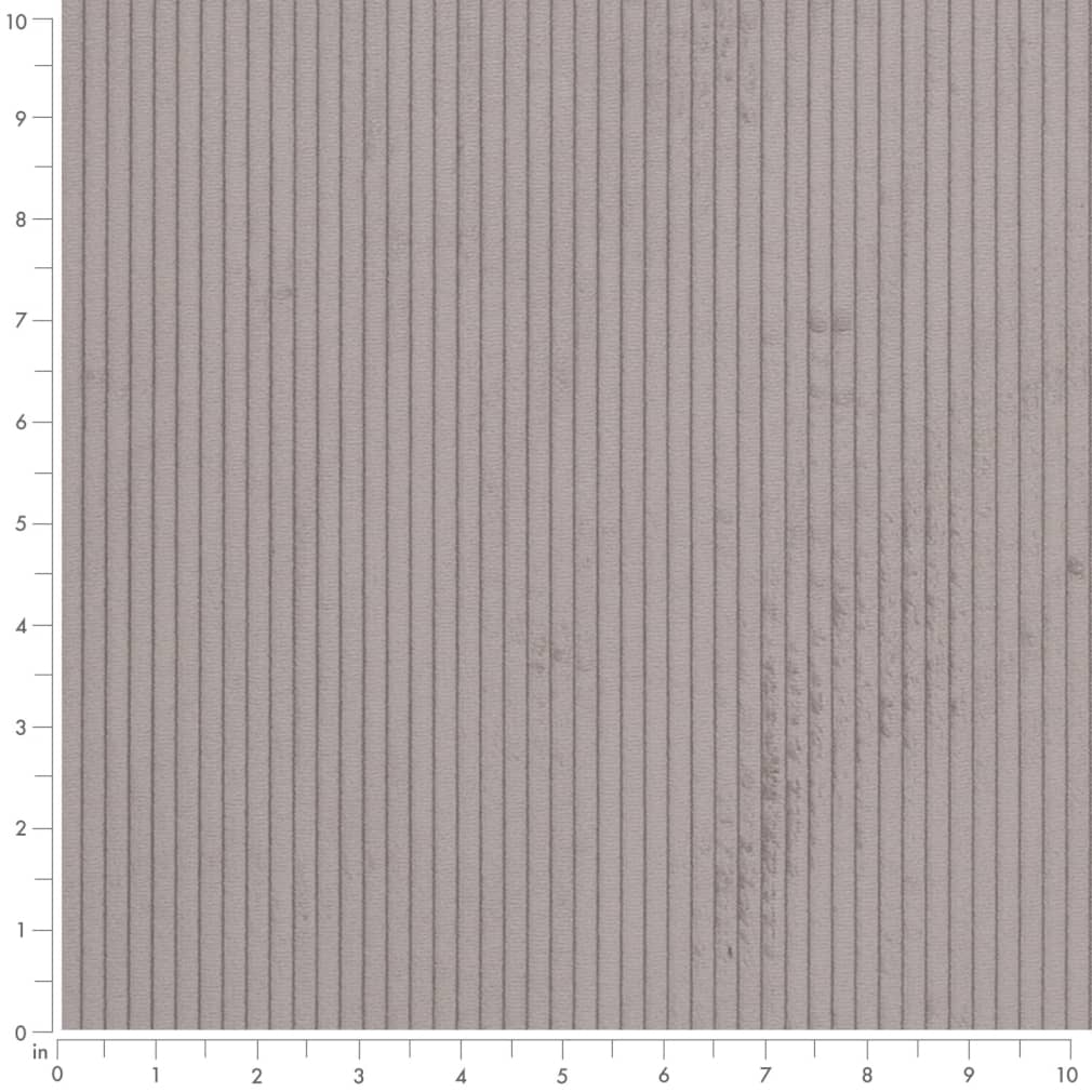 Burnett Dolphin Ruler Image