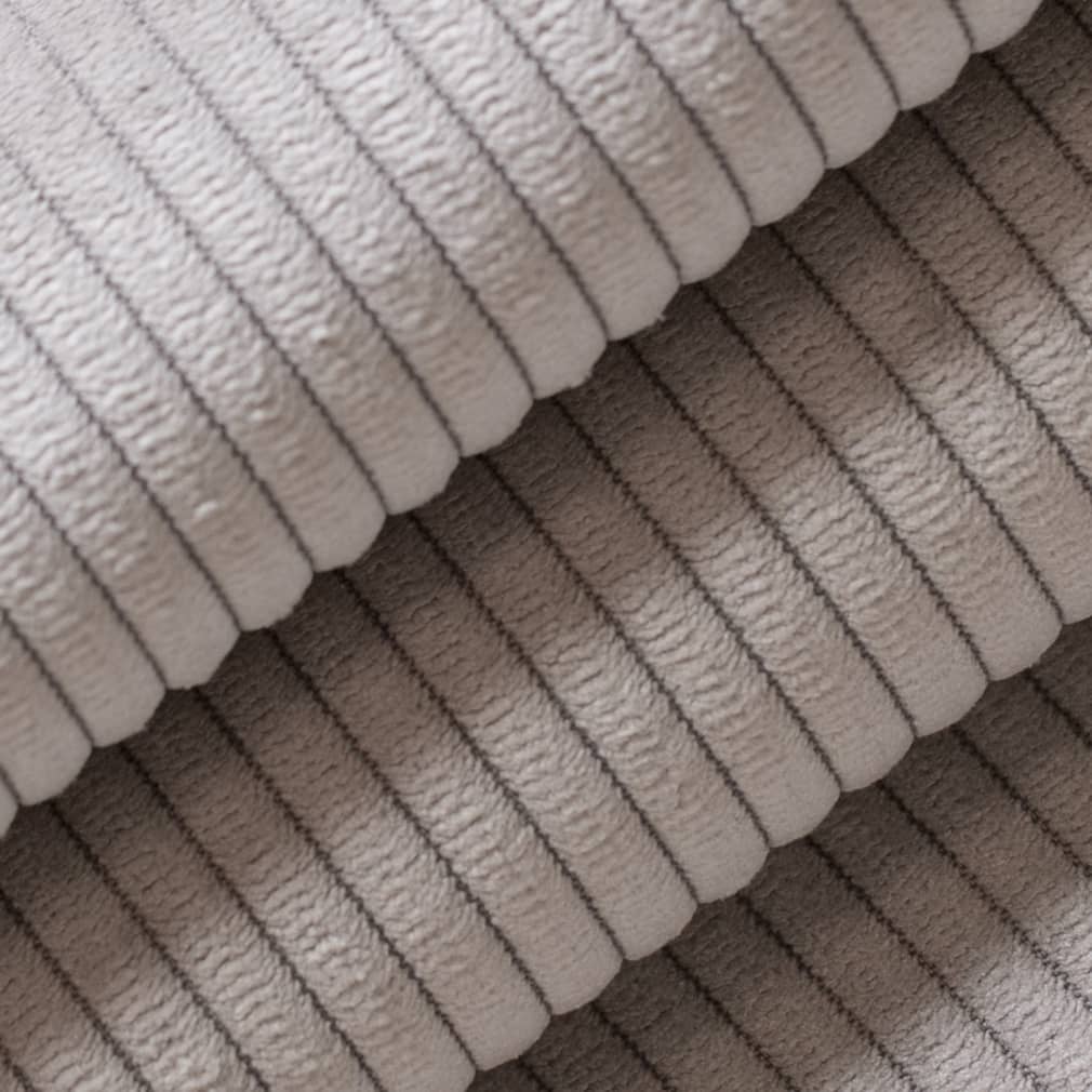 Burnett Dolphin Closeup Texture