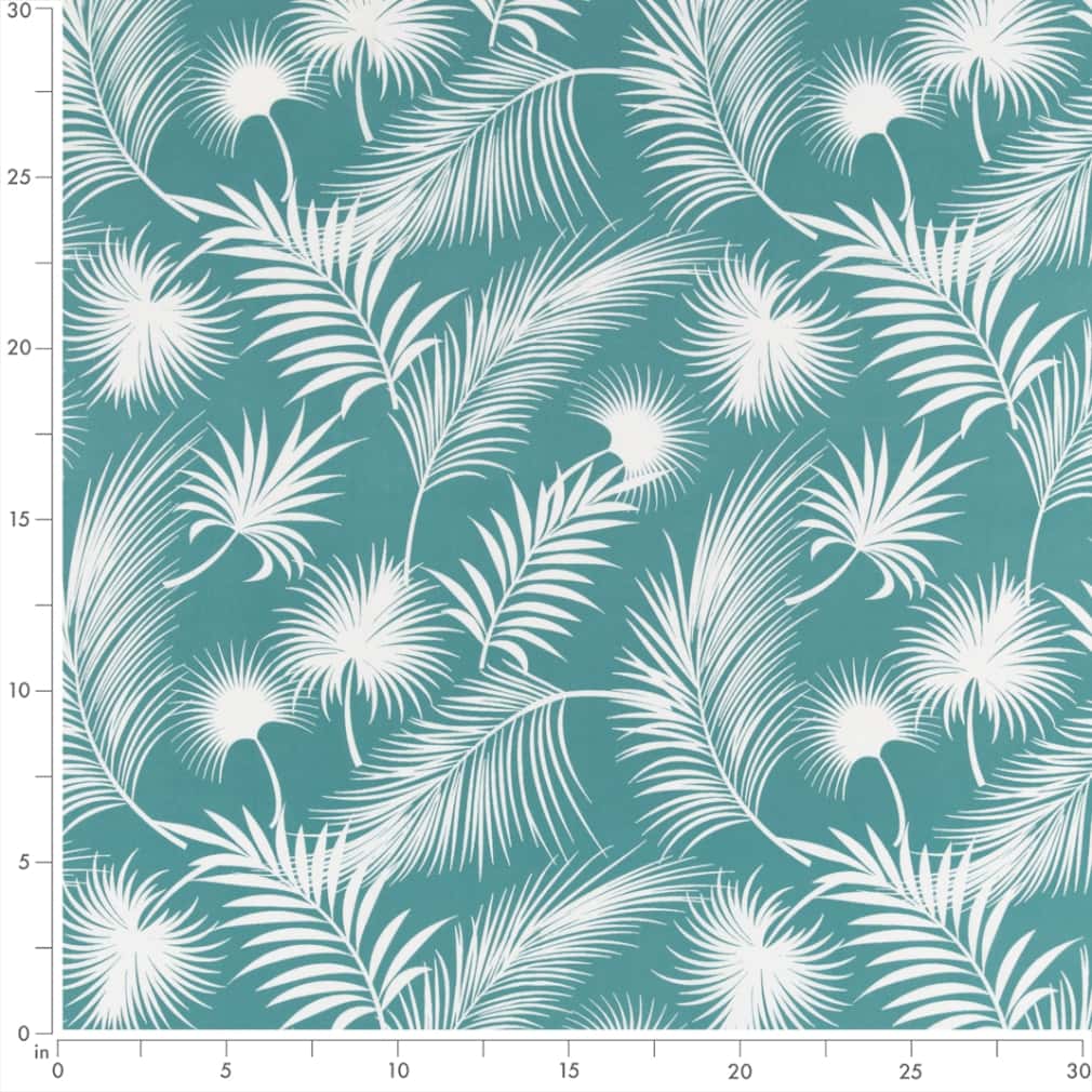 Cabos Aruba Ruler Image