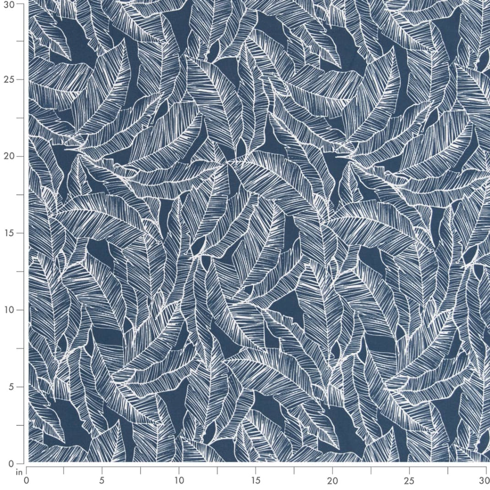 Camilla Admiral Ruler Image