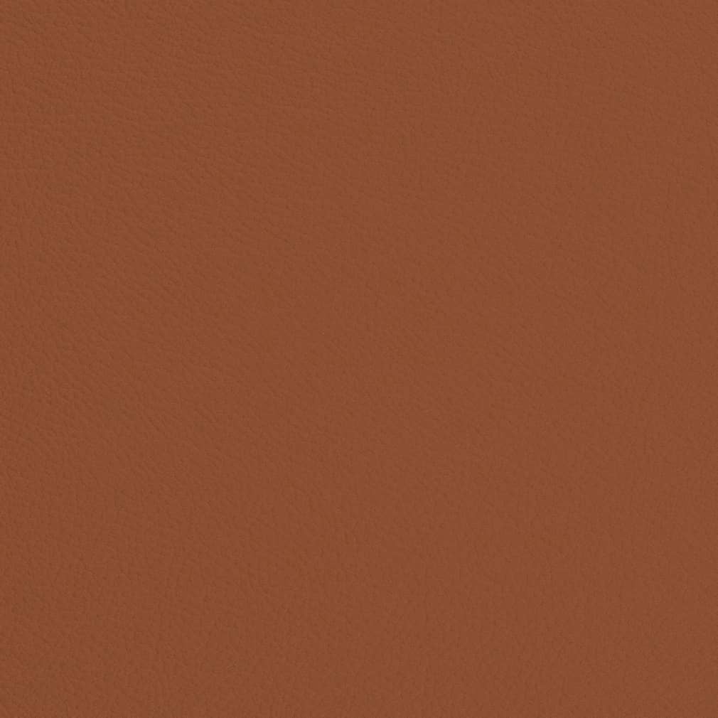 Carmen Rust - Folio Fabrics