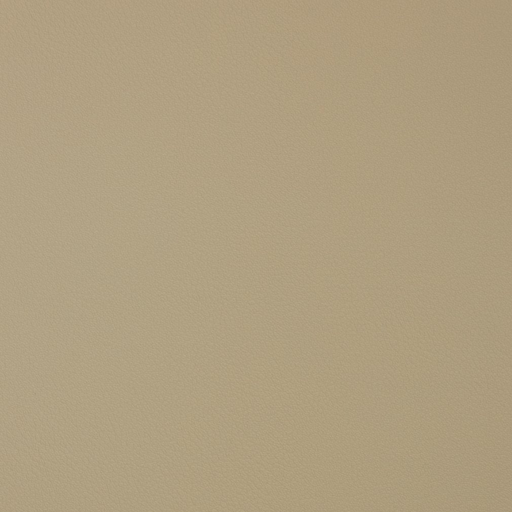 Caspian Bisque Fabric