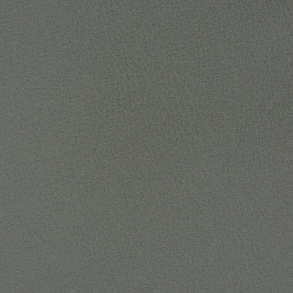Caspian Graphite Fabric