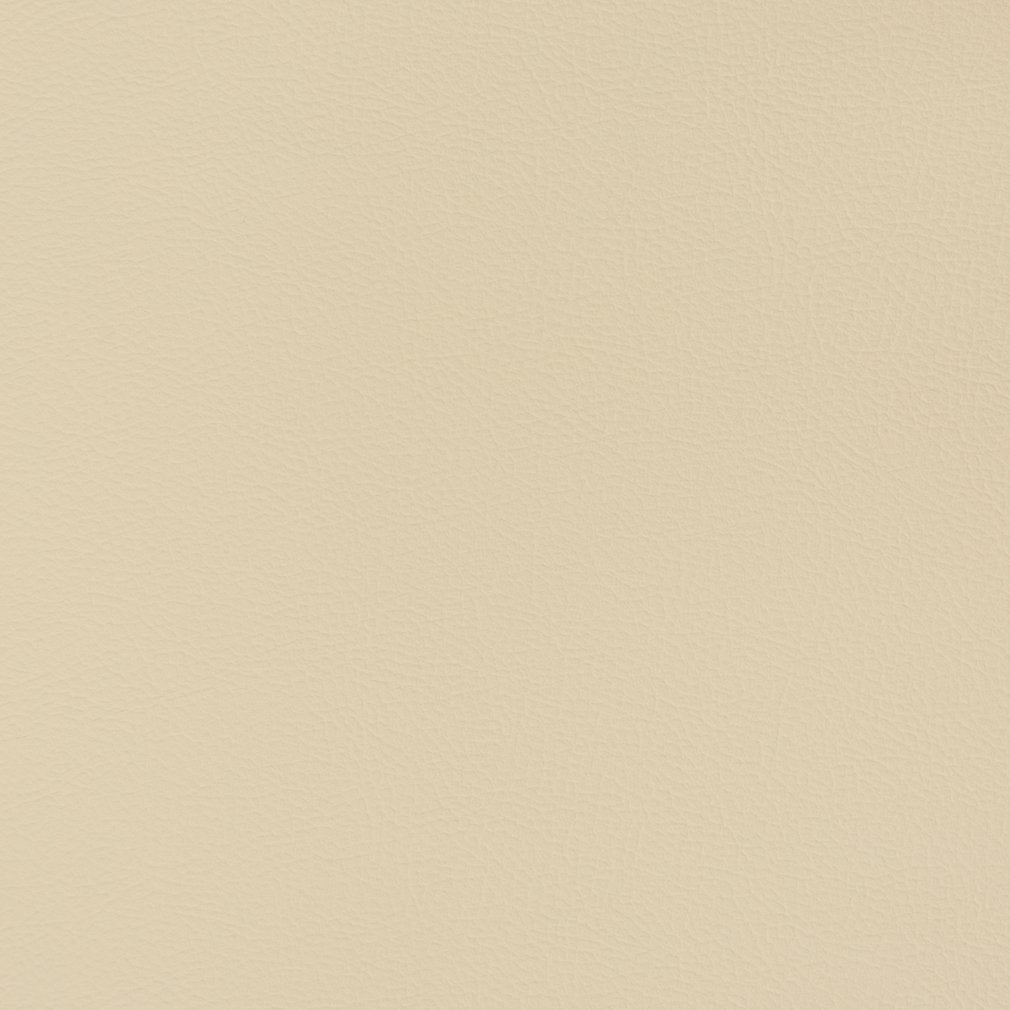 Caspian Sand Dollar - Folio Fabrics