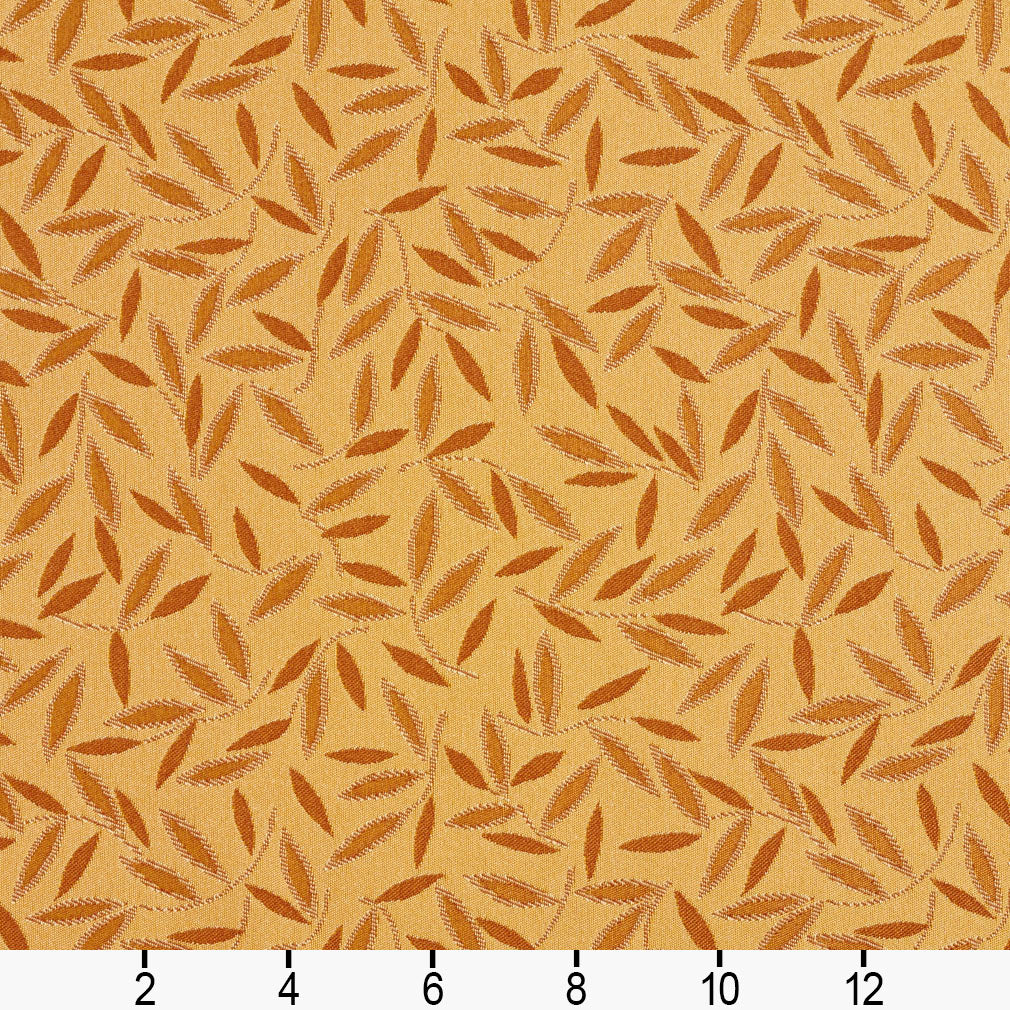 Cecilia Amber Ruler Image