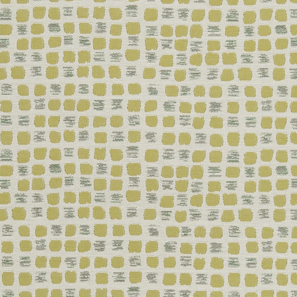 Clifford Citron Fabric