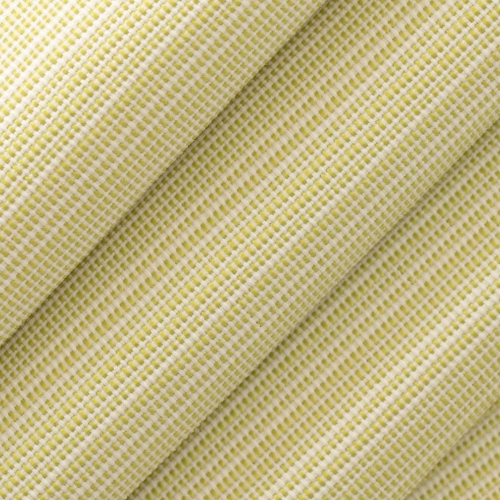 Cole Citrus Closeup Texture