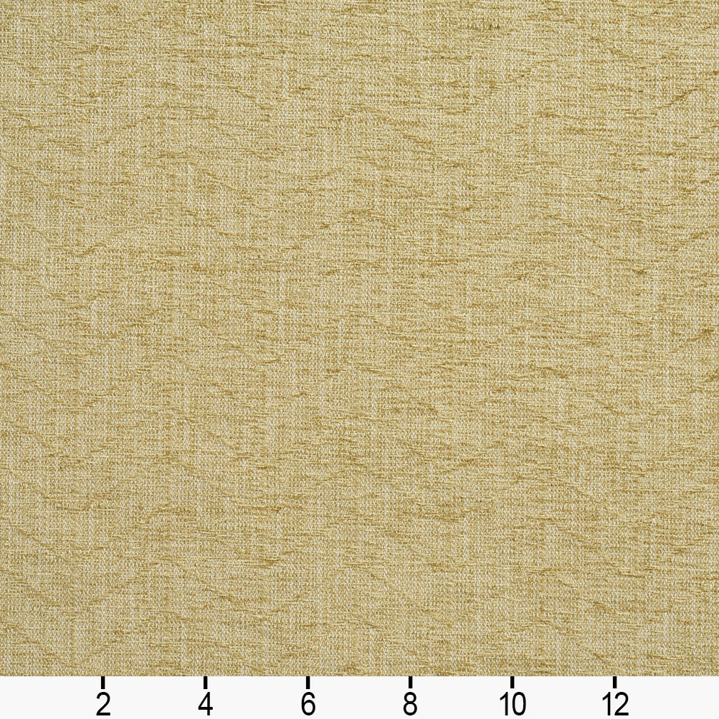 Colson Spring Ruler Image