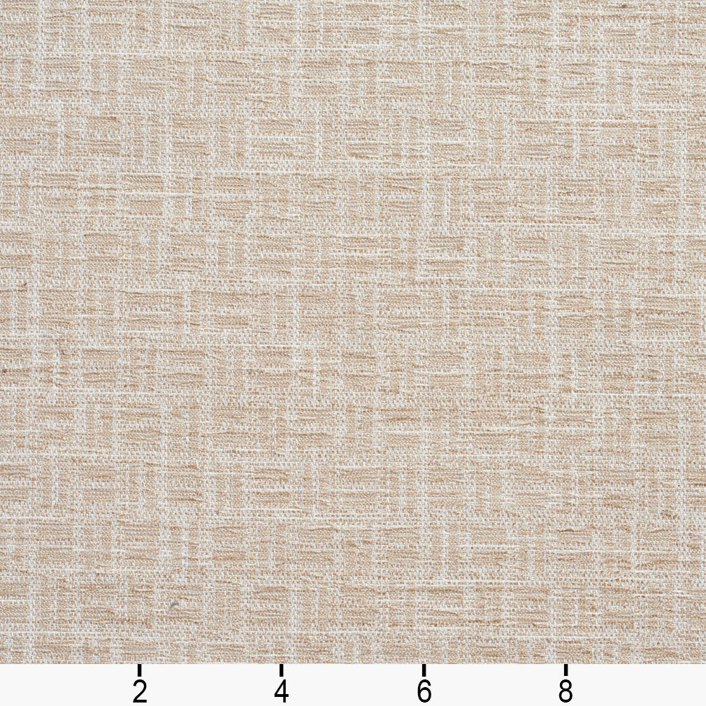 Como Birch Ruler Image