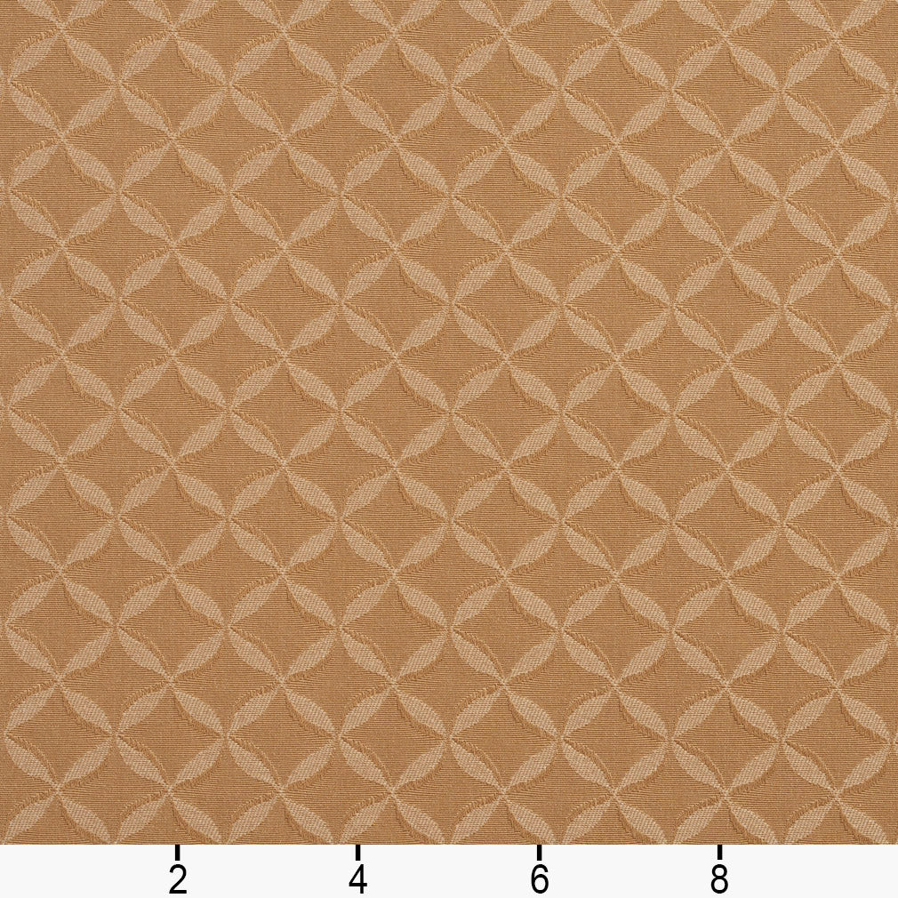 Cory Beach Ruler Image