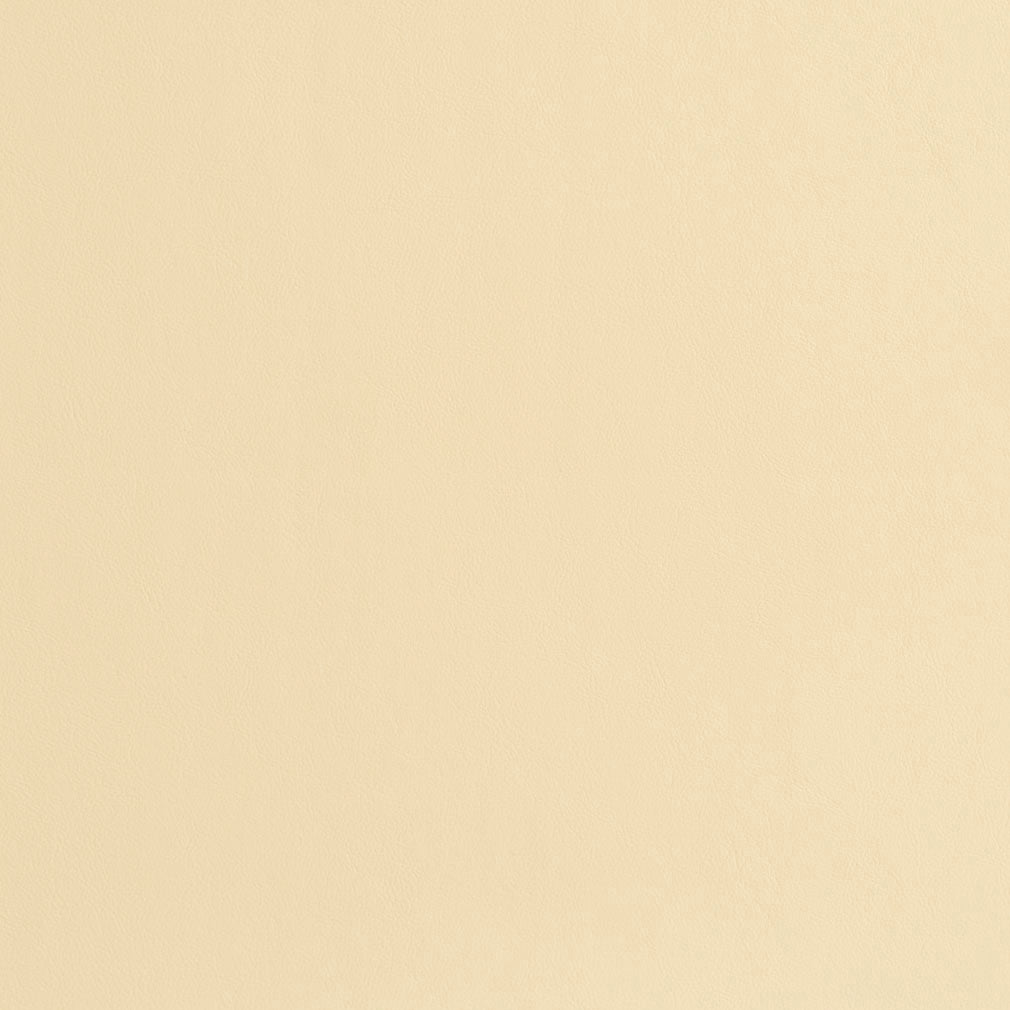 Crew Cream - Folio Fabrics