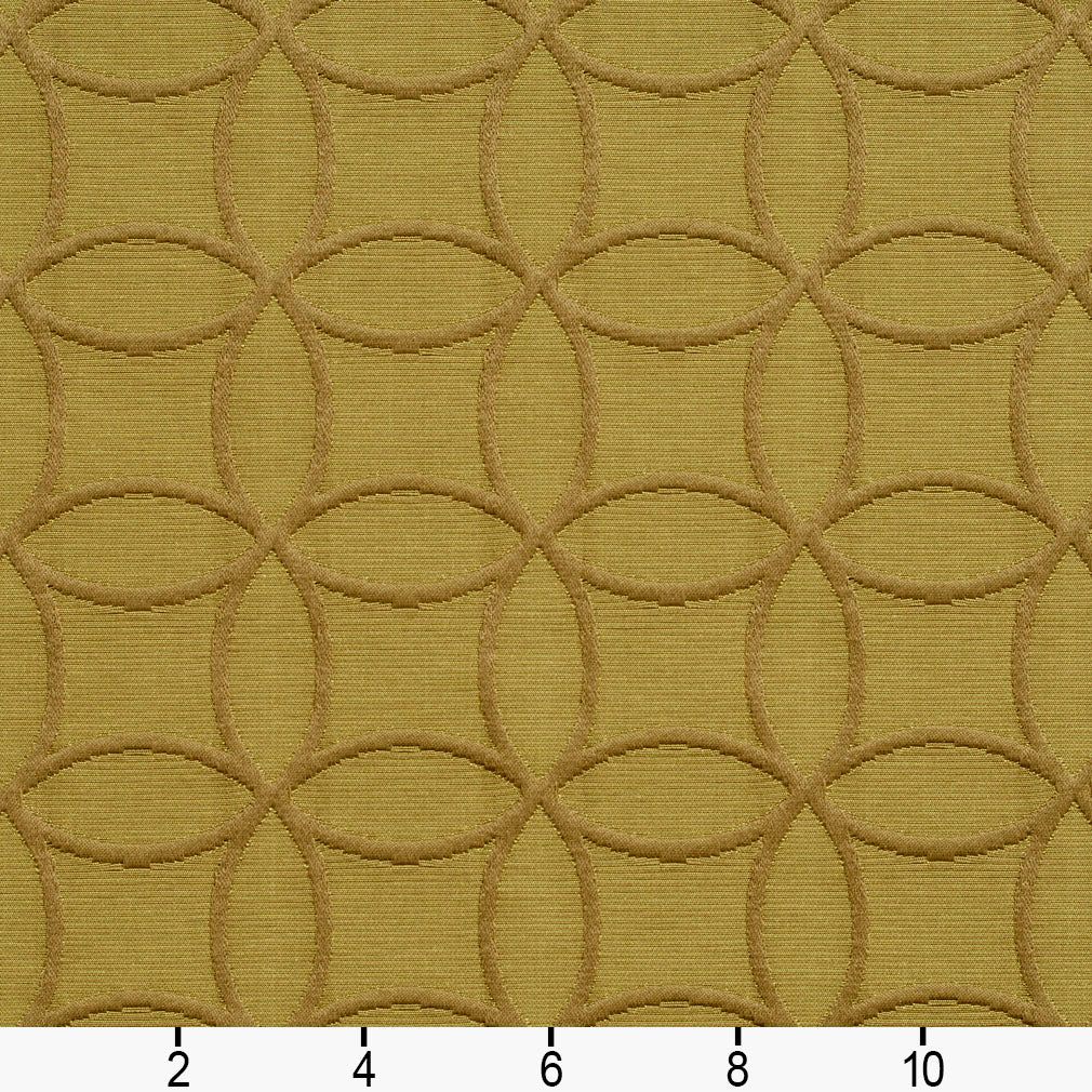 Cullen Olive Ruler Image