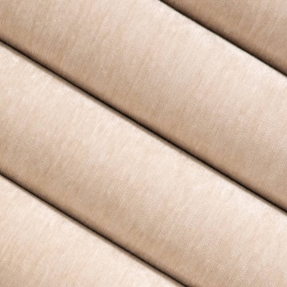 Dani Bone Closeup Texture