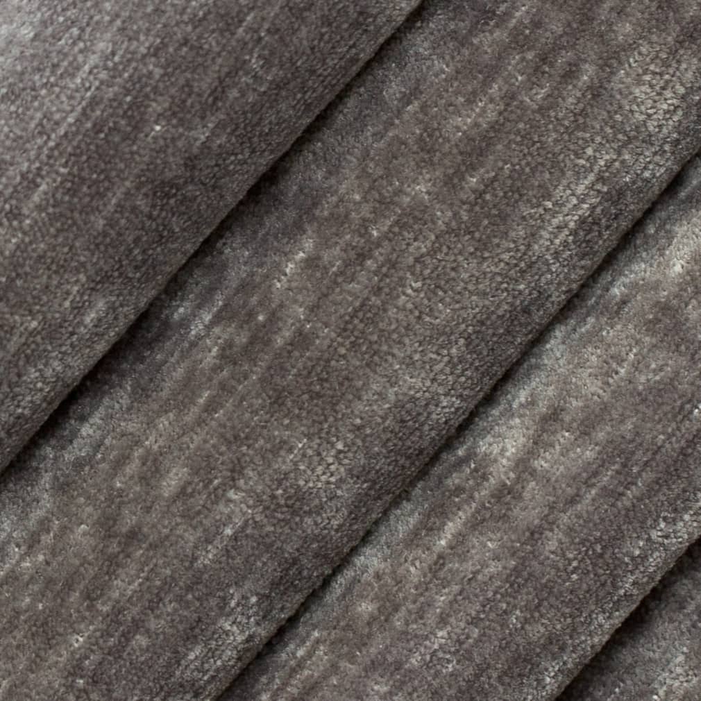 Dani Dolphin Closeup Texture