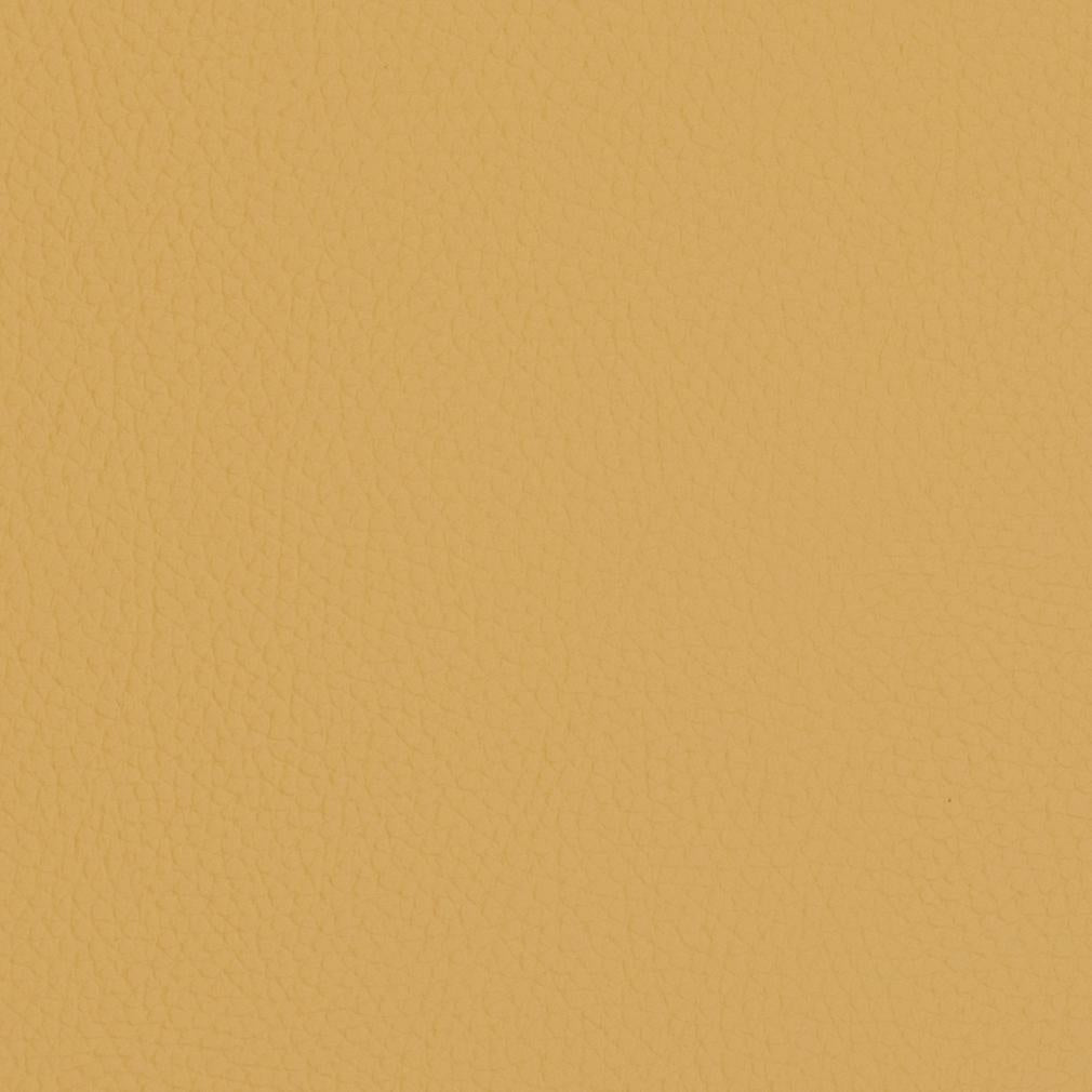 Delphine Sand Dollar Fabric