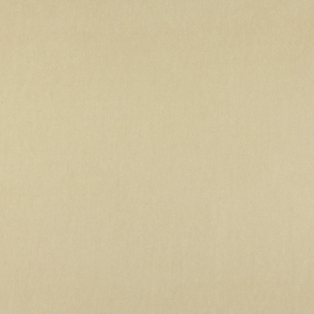 Darlene Beach - Folio Fabrics