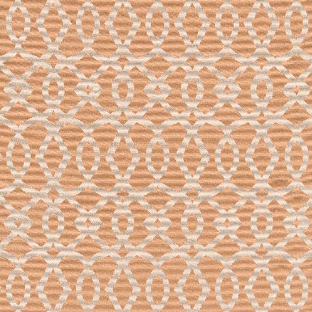 Ebern Peach - Folio Fabrics