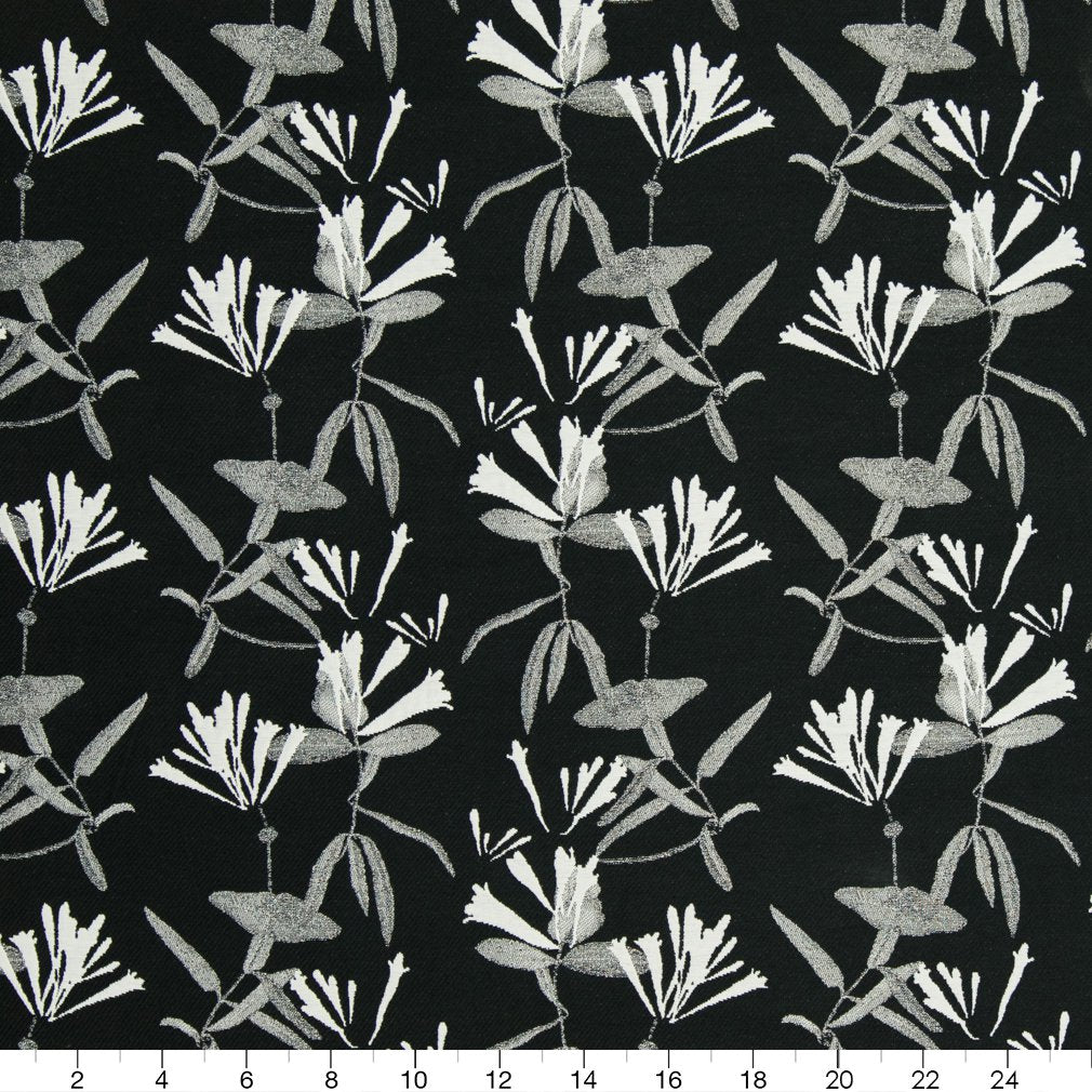 Eldora Black Ruler Image