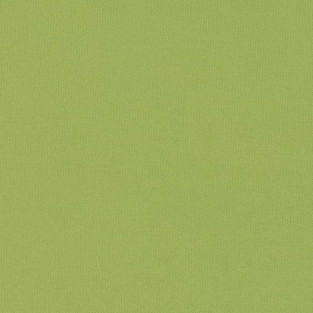 Essex Lime - Folio Fabrics