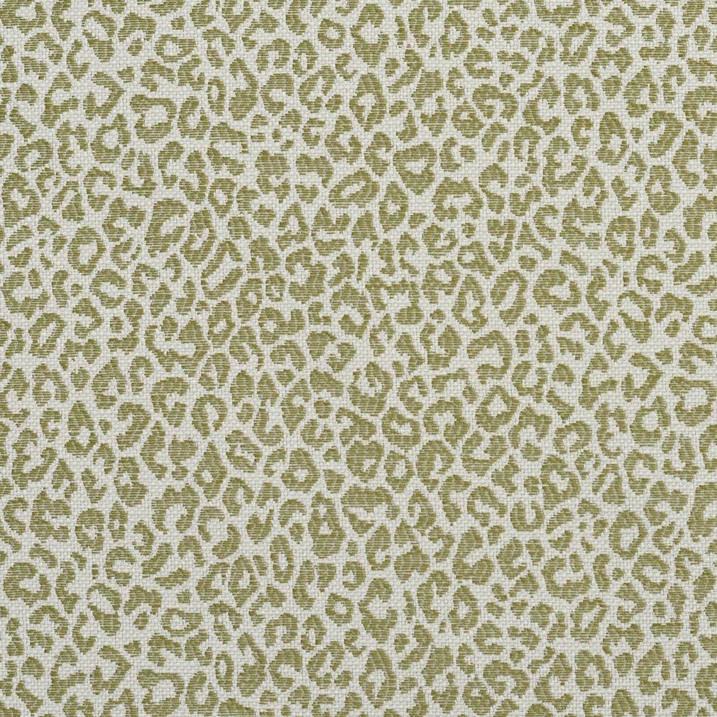 Fulton Fern - Folio Fabrics