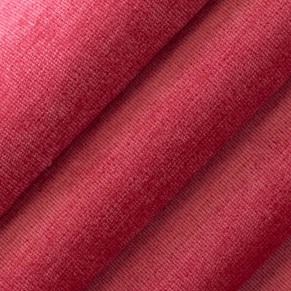 Hailey Punch Closeup Texture