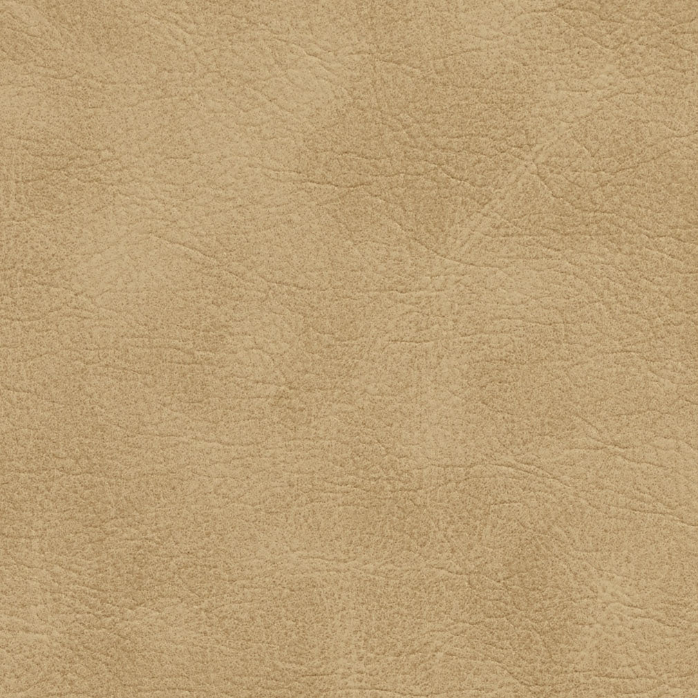 Hubbard Sand Fabric