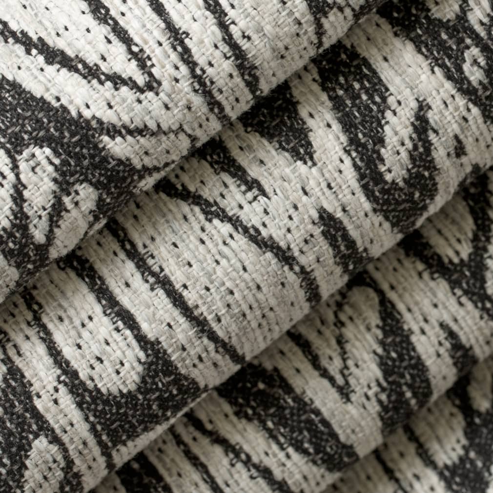 Jazz Raven Closeup Texture