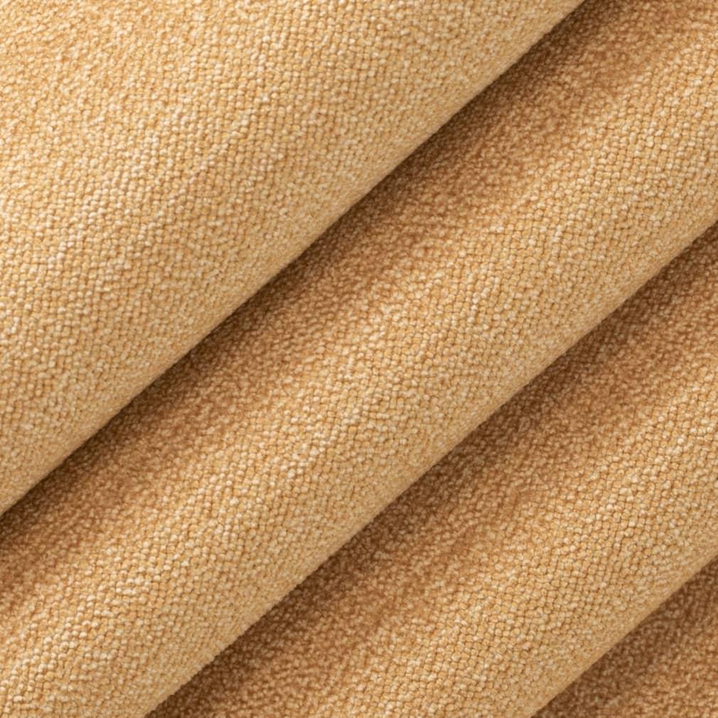 Lawrence Canary Closeup Texture