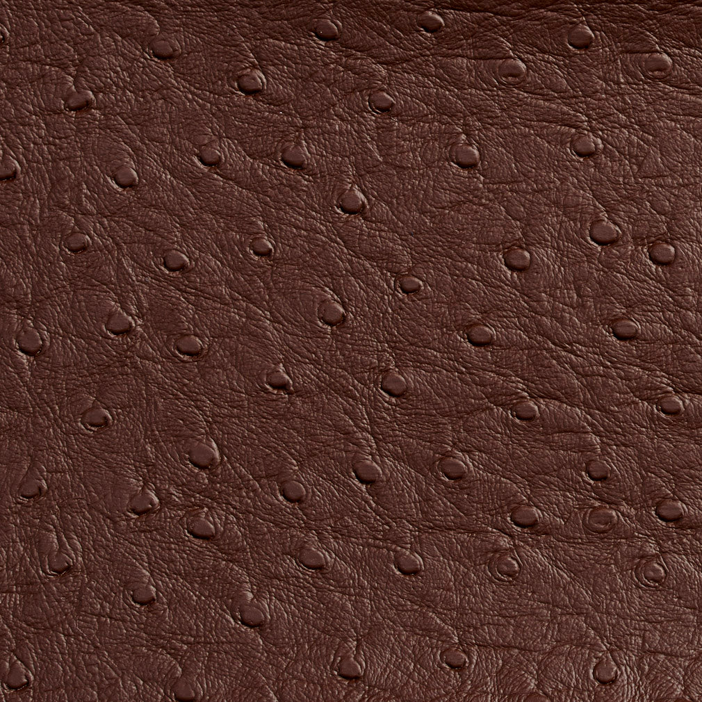 Loretta Espresso Fabric