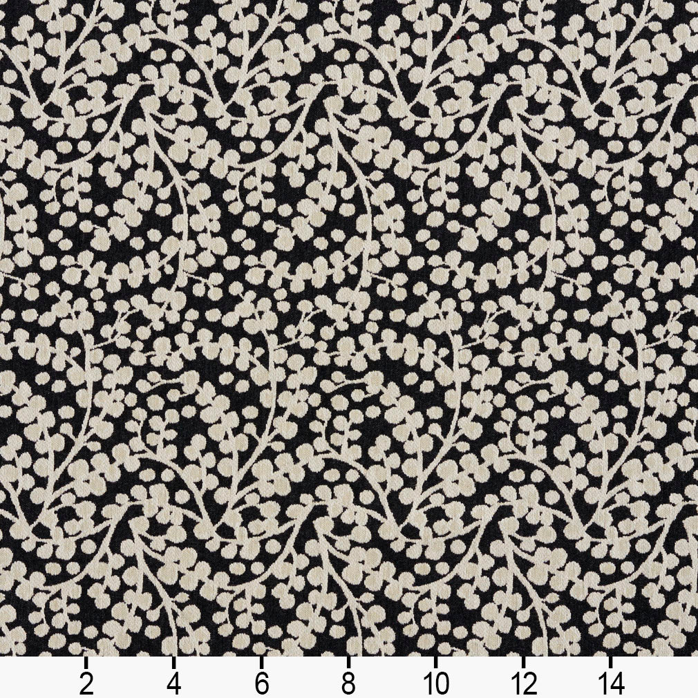 Molly Onyx Ruler Image