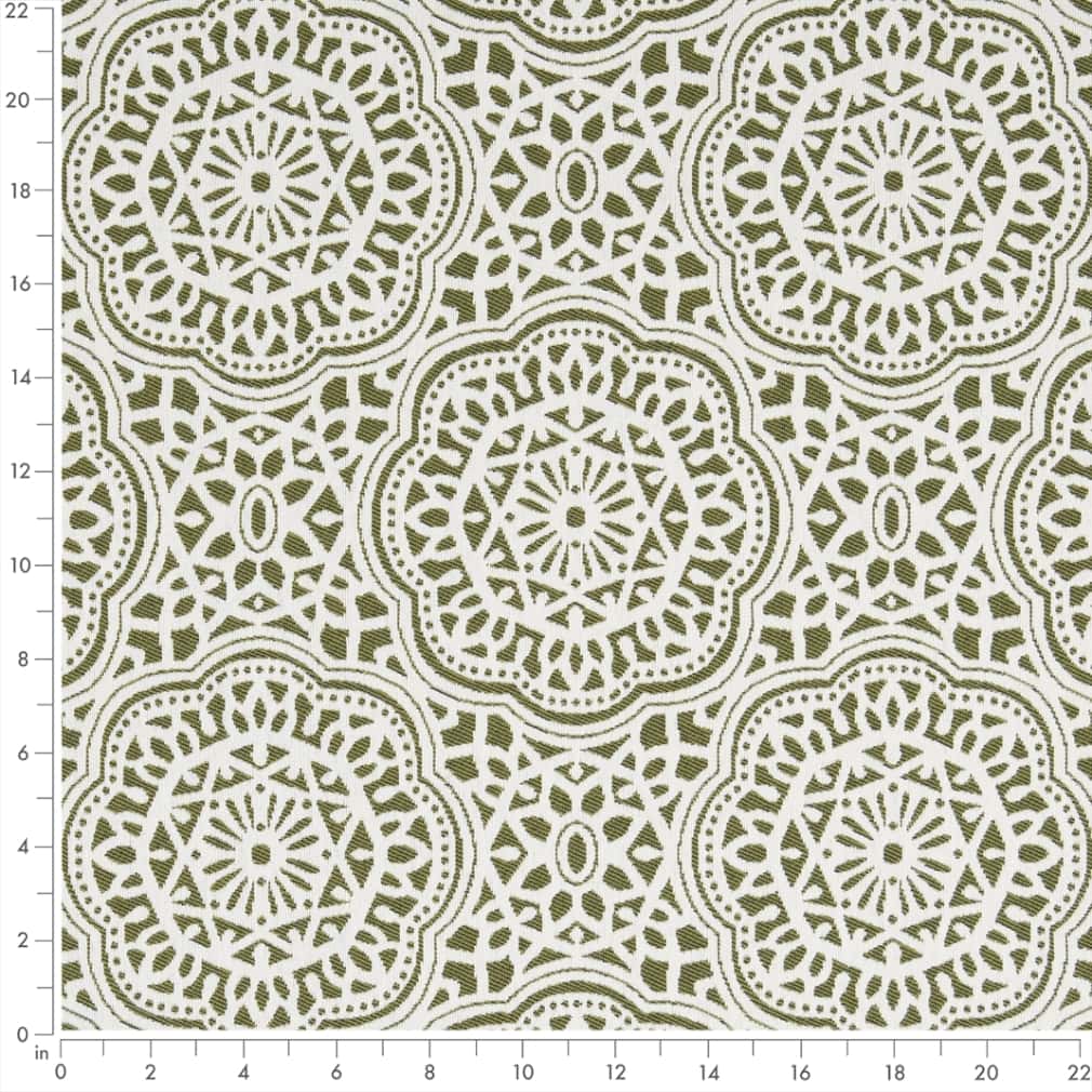 Newman Fern Ruler Image