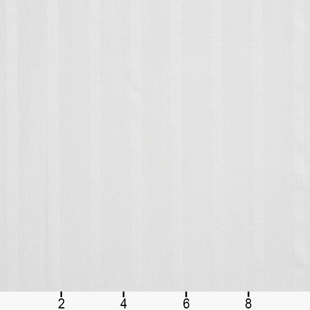 Nieman Lace - Folio Fabrics