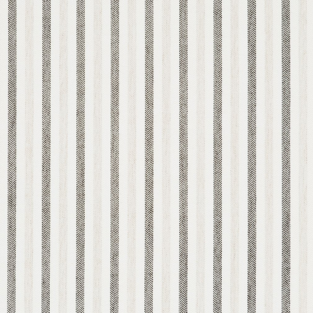 Notion Cypress Fabric