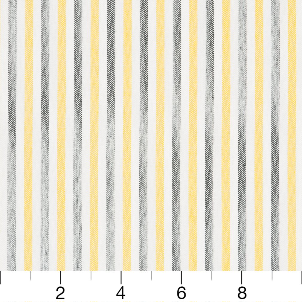 Notion Lemon Ruler Image