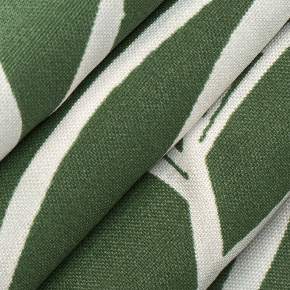 Peterson Fern Closeup Texture