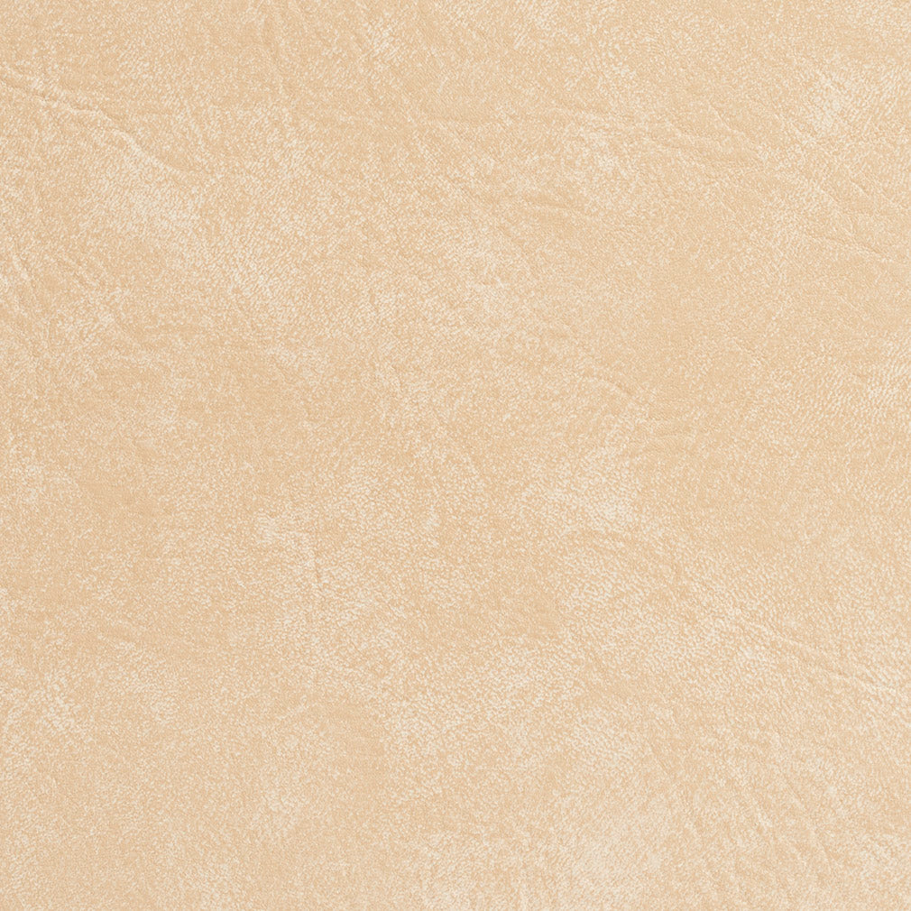 Puckett Seashell Fabric