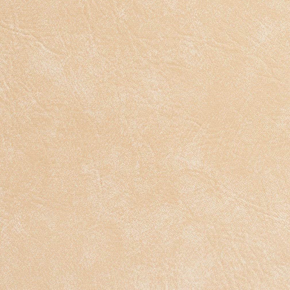 Puckett Seashell - Folio Fabrics