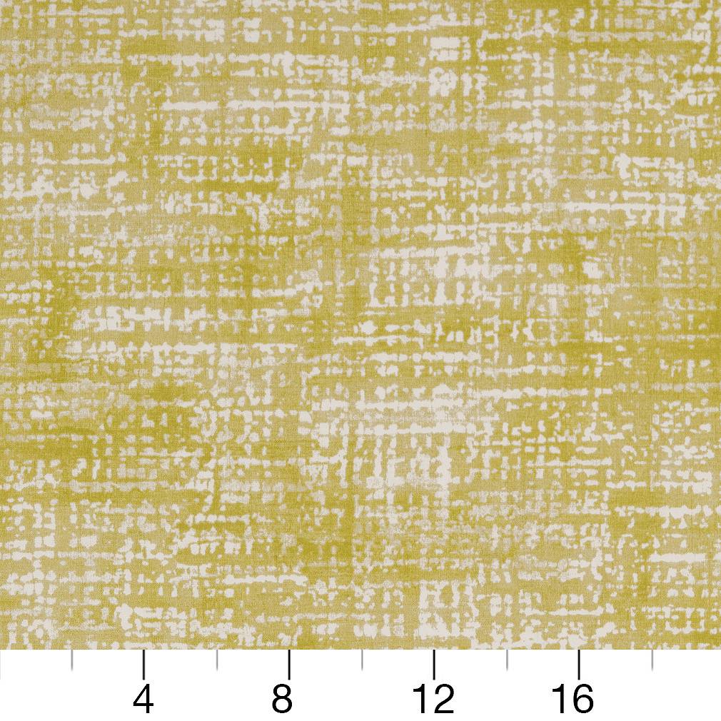 Samantha Lime Ruler Image