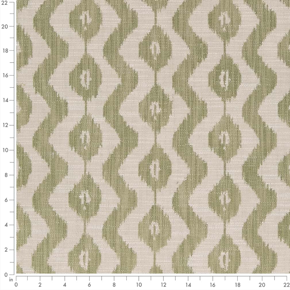 Zaire Spring Ruler Image